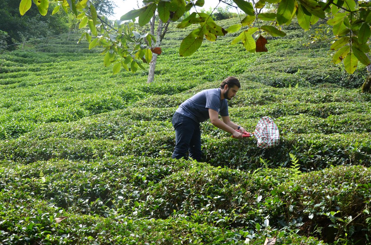 Doğu Karadeniz Gün 7