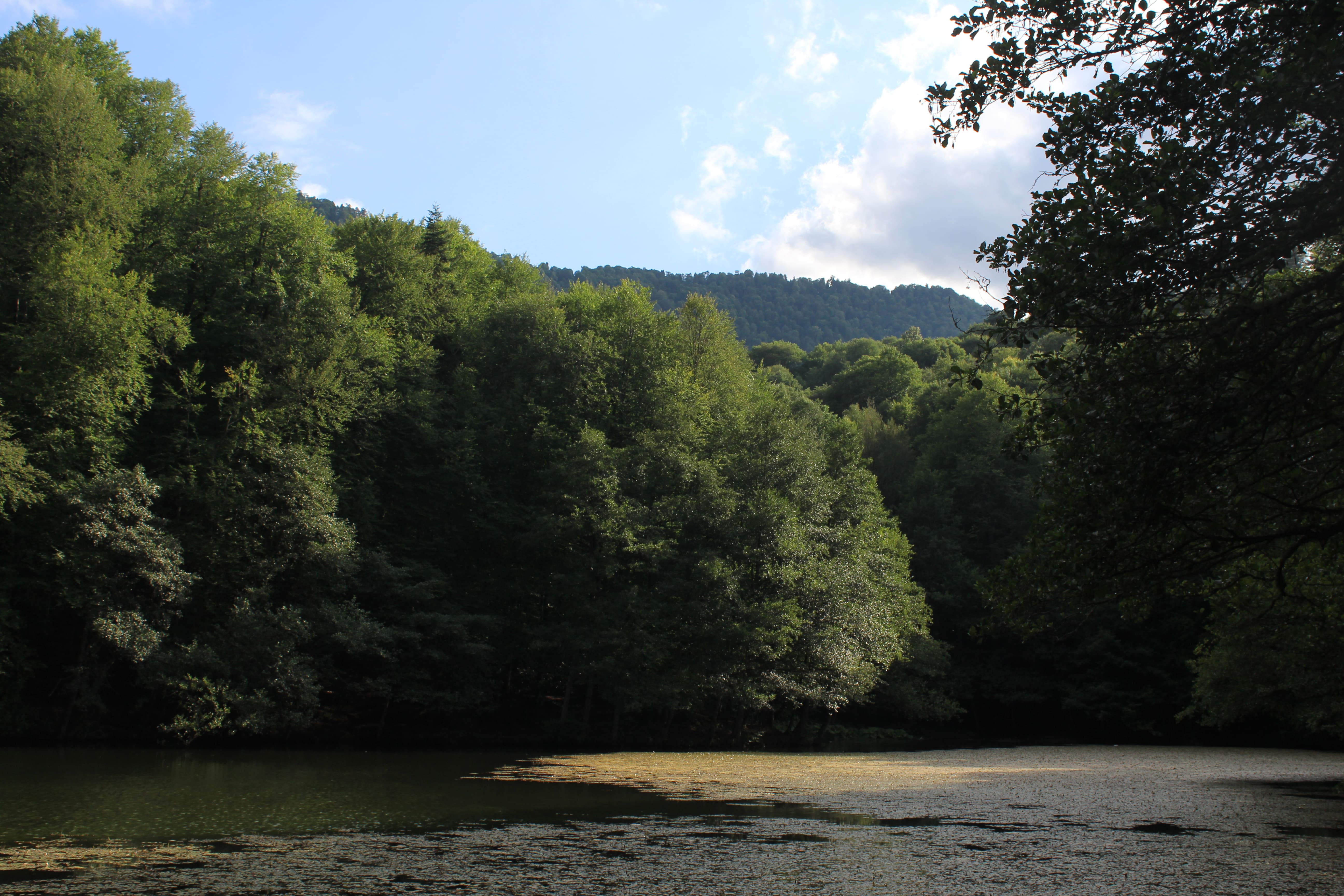 Batı Karadeniz
